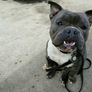 Meet your Posher, Erica